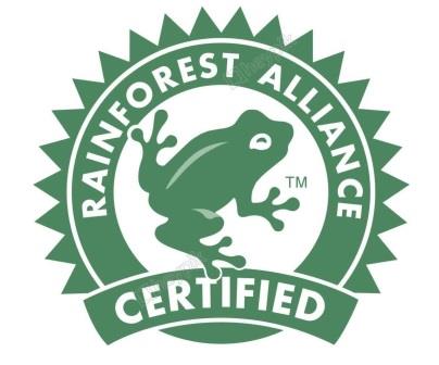 Service de Traitement Kineden