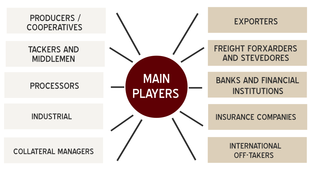 Fèves de Cacao de Spécialité